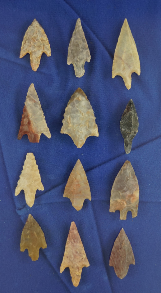 Set of 12 assorted African Neolithic arrowheads found in the Sahara desert region, largest is 1 5/8"