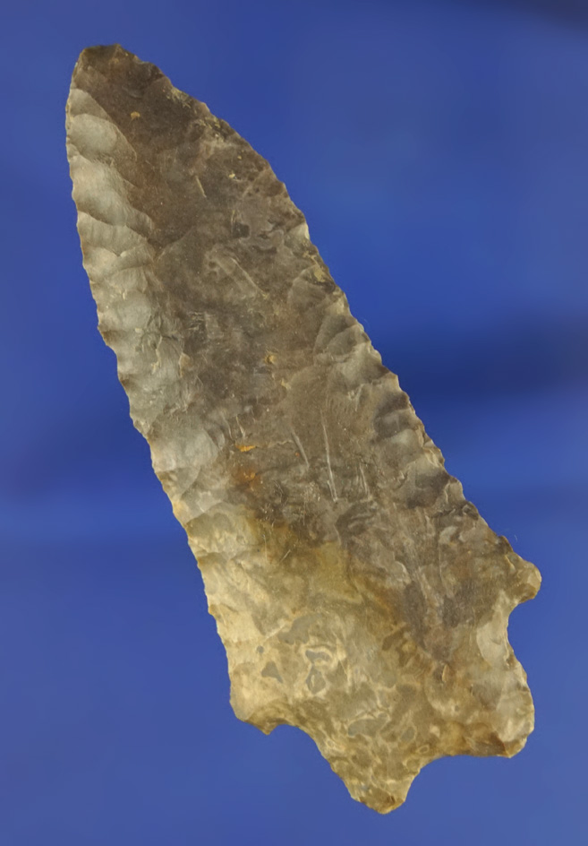 3 5/16" Buzzard Roost Creek found in Wayne Co.,  Tennessee. Ex. Jerry Dickey.