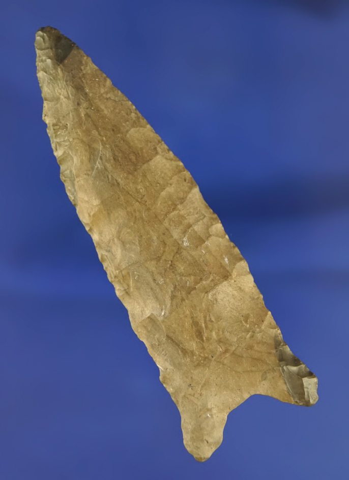 3 1/4" Pike County found by Jimmy Branam on the Arkansas River, Muskogee Co.,  Oklahoma. COA.