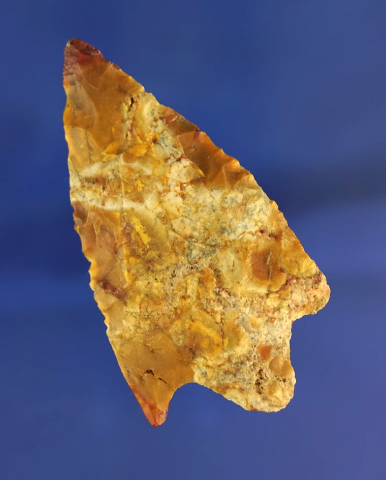 2 5/8" Newnan point found in Florida.