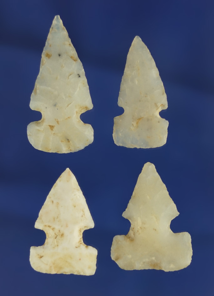 Set of four sidenotch arrowheads found in New Mexico, largest is 1 3/8".