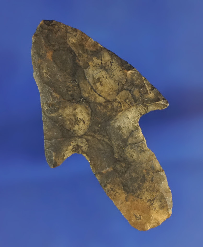 Heavily patinated 2 3/16". Long stemmed Adena found in Tennessee.