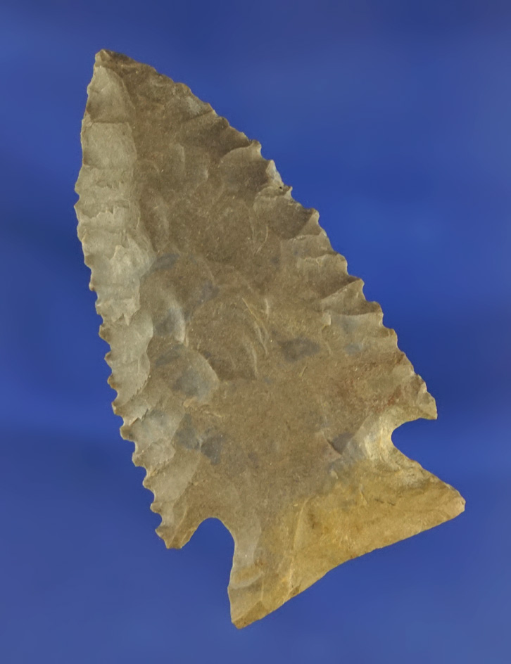 Well flaked and nicely styled 2 5/16" serrated Kirk point found in Alabama. Ex. Jerry Dickey.