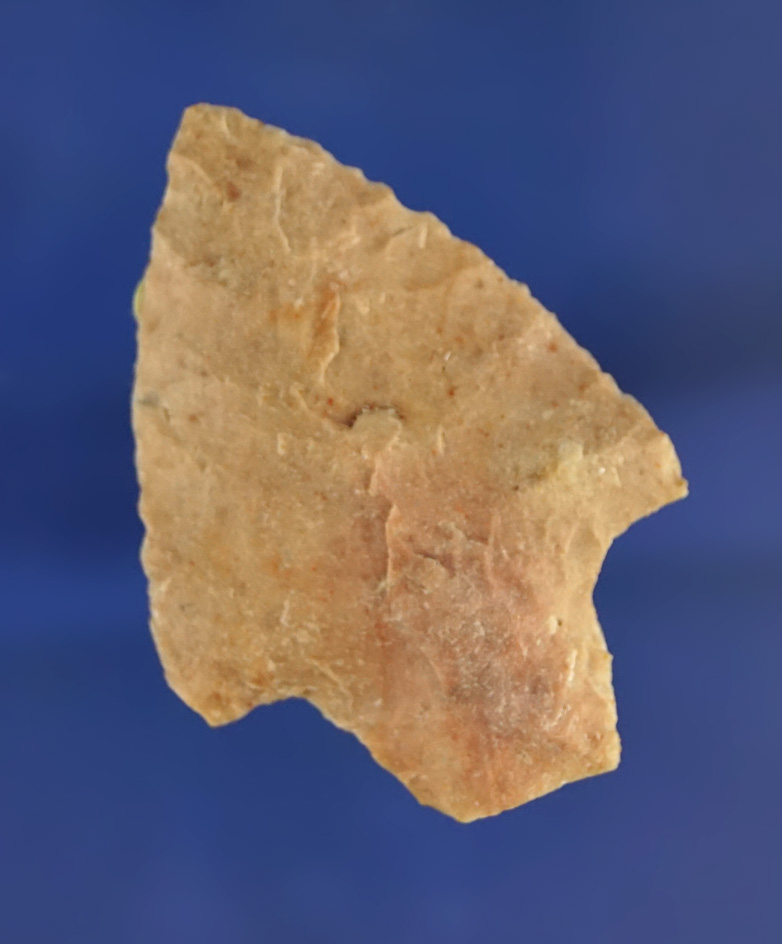 1 15/16" Newnan point found in Florida.