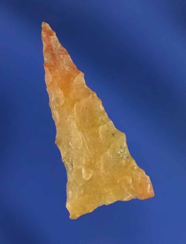 15/16" Mississippian Triangle point found in Florida.