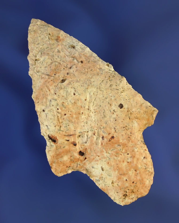 2 3/4" Newnan point made from Coastal Plains chert found in Florida.