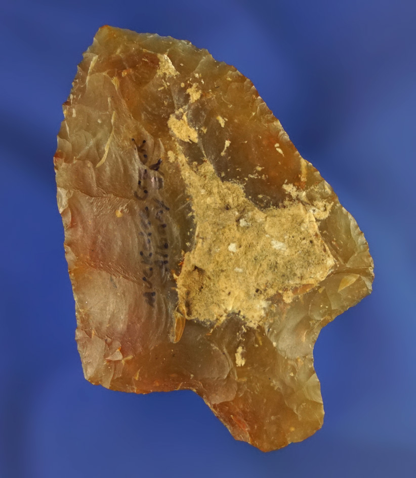 2 1/2" heat-treated Agatized coral found in Albany Georgia that is nicely translucent.