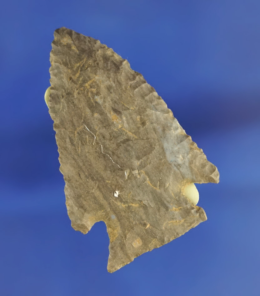 1 11/16" Kirk point found in Tennessee.