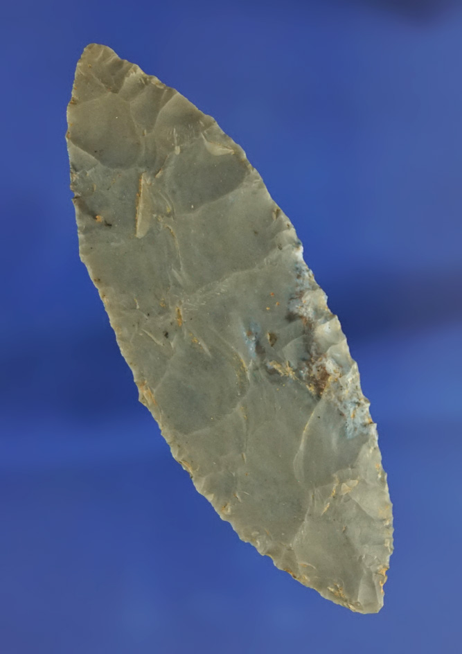 Nicely styled 2 13/16" Hornstone Bi-pointed Blade found in Indiana.