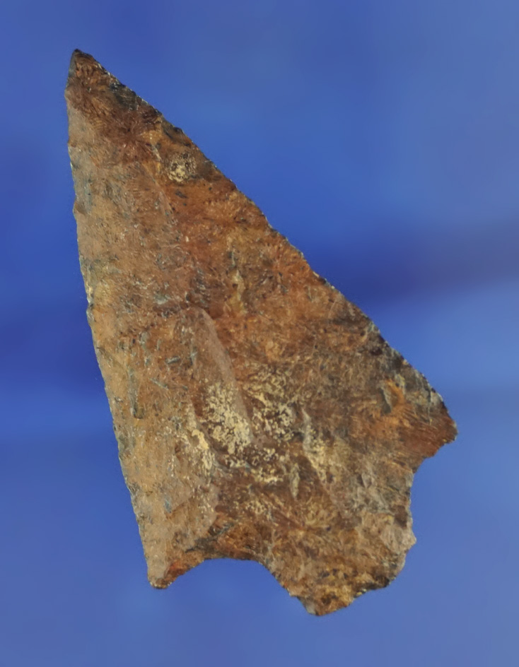 Nice River patina on this 2 9/16" Levy point found in Florida.