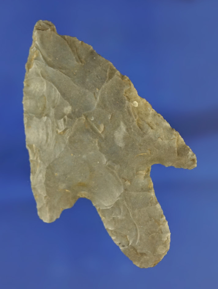 2 5/8" Long Stemmed Adena found in Miller Co.,  Arkansas.