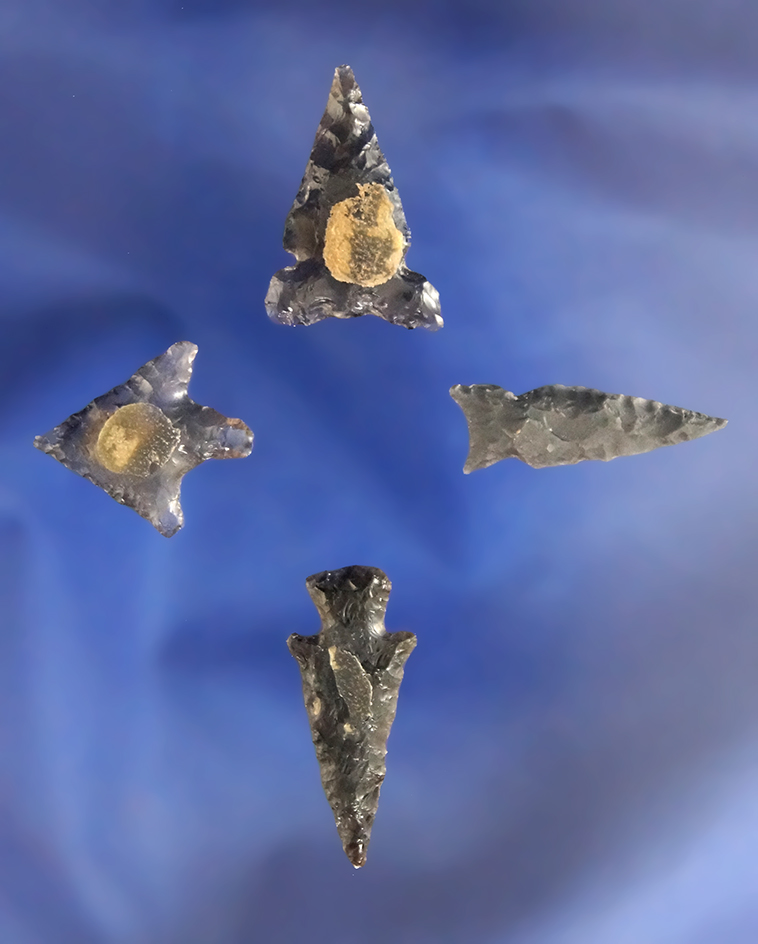 Set of four nice Obsidian Arrowheads, largest is 1" found by Terri Baldridge in the Tule Lake Basin,