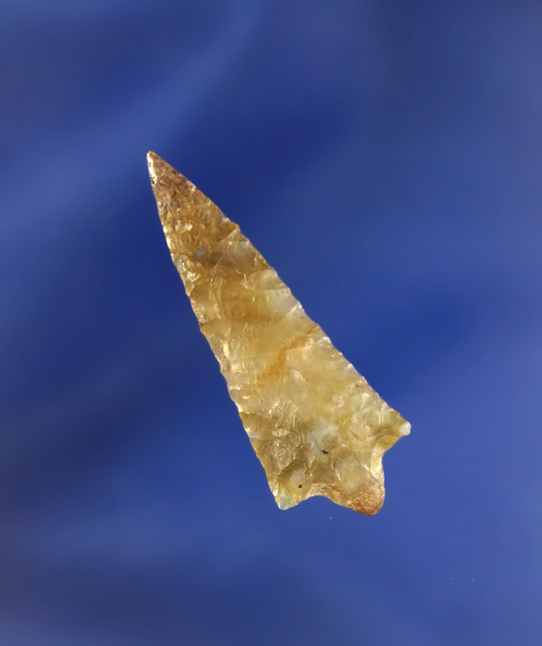 Exceptionally well flaked and nicely styled 1 3/8" Rabbit Island with some restoration to the tip ar