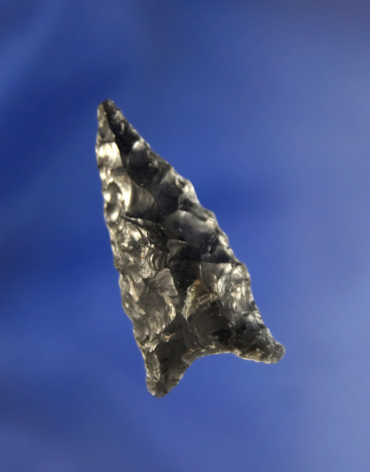 1 1/2" Buchanan Eared made from Obsidian, found in Oregon.