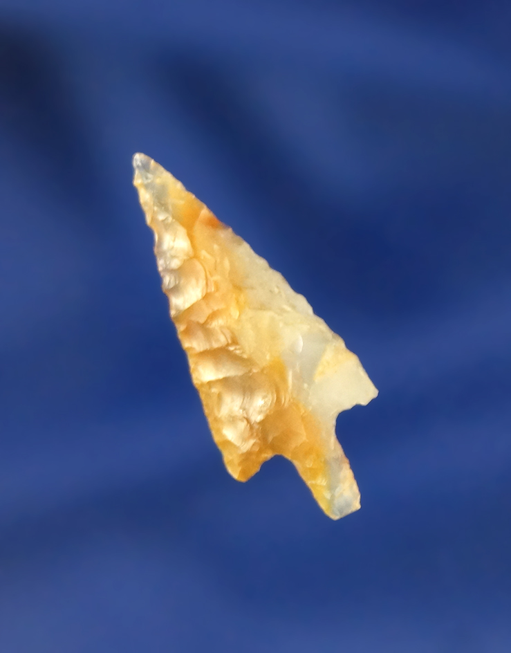 Excellent flaking and beautiful material on this 1 1/16" Wallula found near the Columbia River, WA