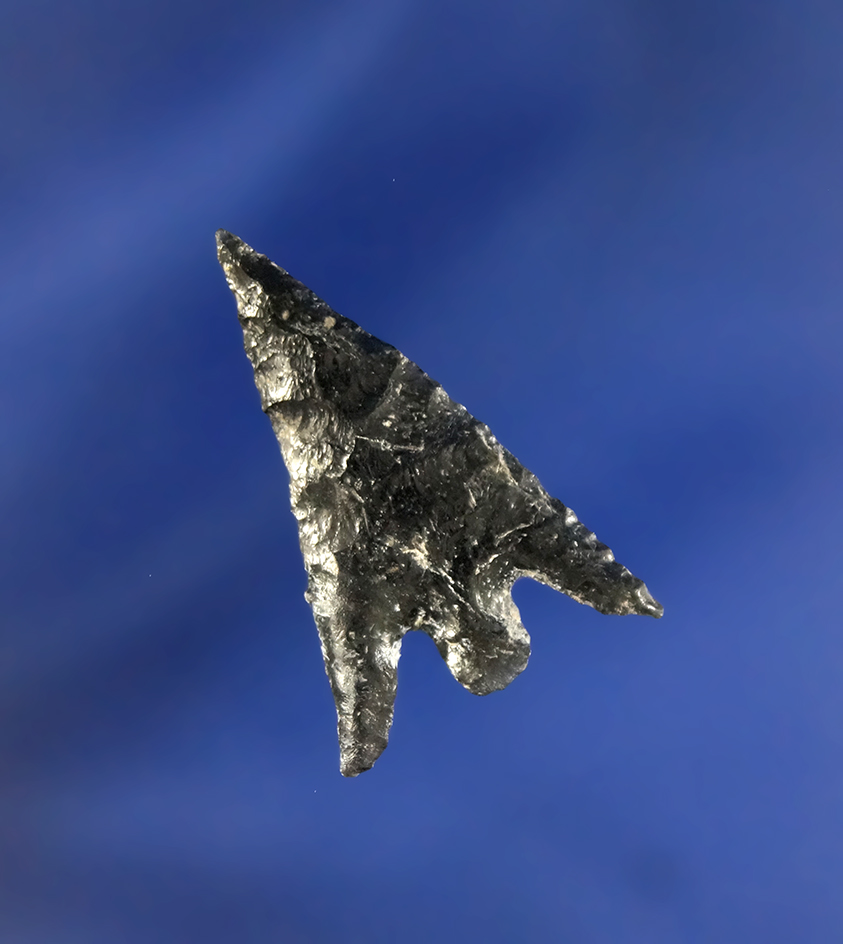 1 1/8" Columbia Plateau made from Obsidian with one restored ear. Found in Oregon.