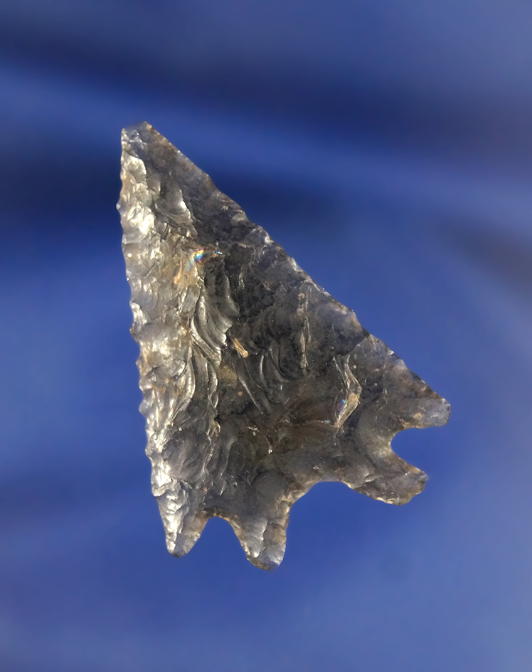 1 11/16"  Obsidian Pinto Basin - well flaked and nicely styled found  around Clearlake, California