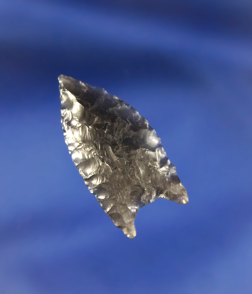 1 3/16" Humboldt Concave Base that is nicely made from an Obsidian flaked found in Lake Co. Oregon