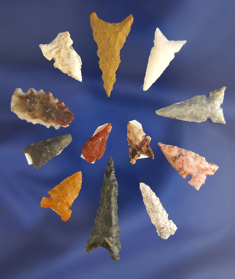 Set of 12 assorted Arrowheads found in Nevada by R. D. Mudge. Largest is 1 3/16".10