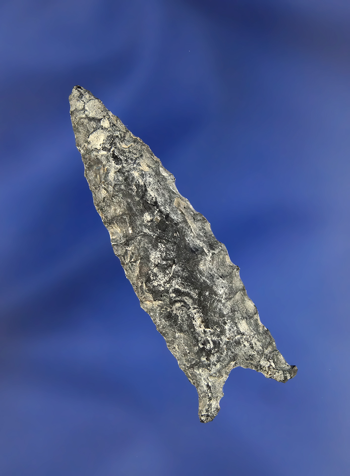 2 3/16" heavily patinated Obsidian Buchanan Eared found in Oregon.