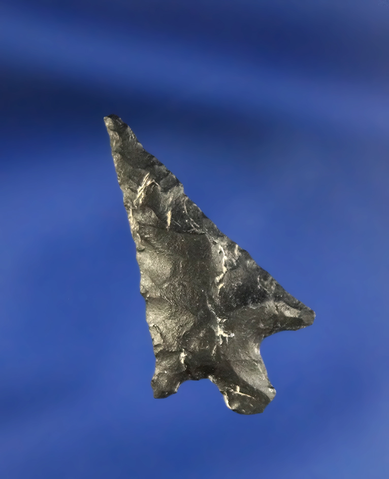 1 3/16" Wallula found in Oregon.