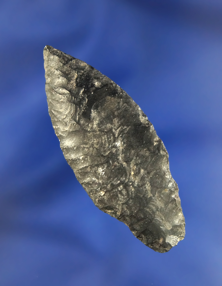 Thin, well flaked, slightly curved 2 1/4" Cascade Shouldered  made from Obsidian, found in Oregon.