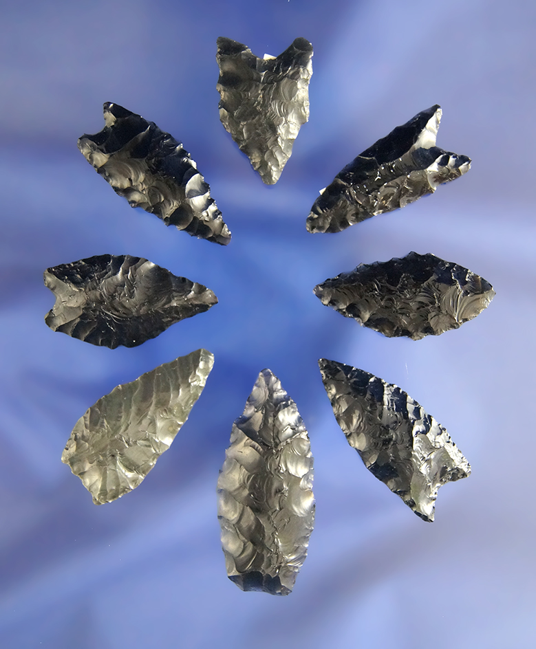 Set of eight Obsidian Arrowheads found in Oregon and Nevada, largest is 1 1/2".