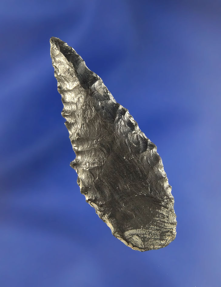 2 1/4" Coquille Leaf that is fairly thin and found in Oregon.