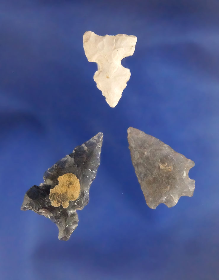 Set of three Arrowheads, largest is 1" found by Terri Baldridge in the Tule Lake Basin, California.