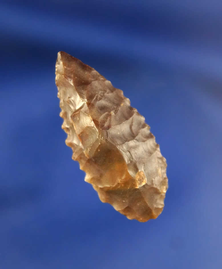 1 3/8" Gold Hill with nice edge serrations, found in Oregon.