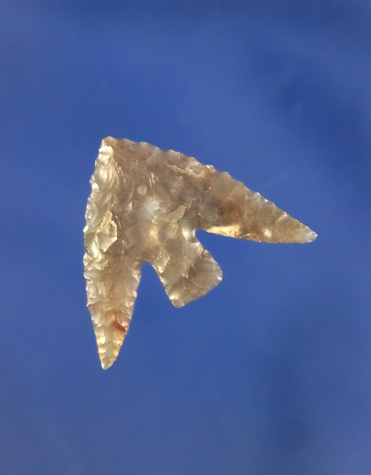 Exceptional! Wonderful flaking and style Columbia Plateau with long, exagerated barbs, Washington.