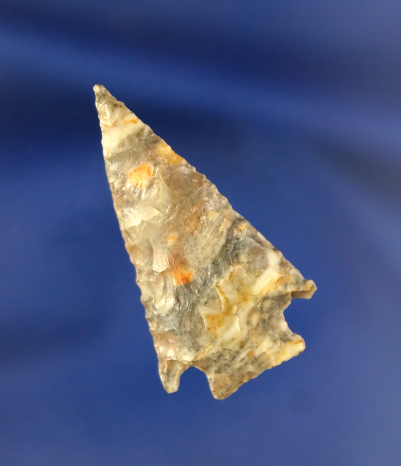 1 9/16" snake River made from beautiful multicolored Flint found on the Oregon side of the Columbia