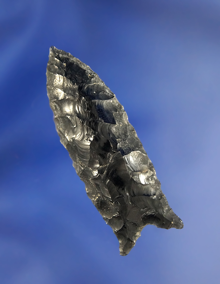 2 1/8" well styled Obsidian Buchanan Eared  found in Oregon.
