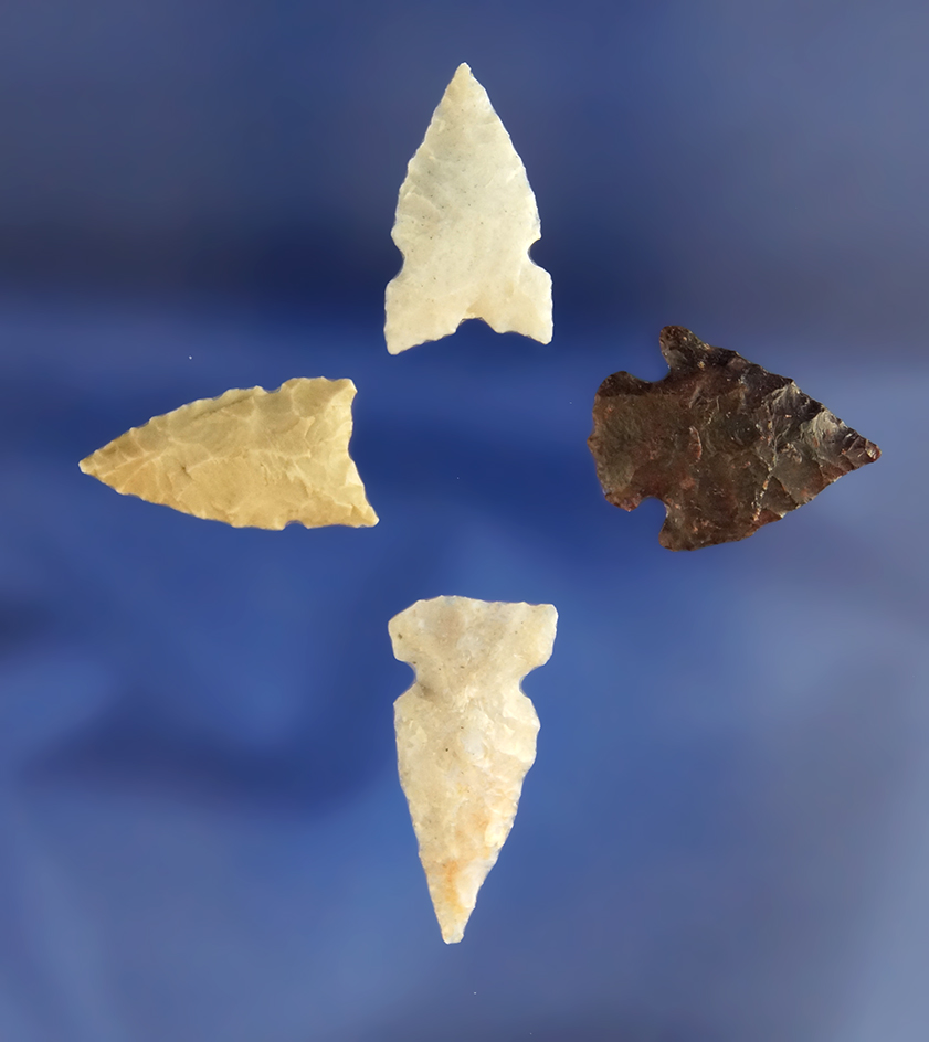 Set of four assorted arrowheads, largest is 1" found in Nevada by R. D. Mudge.