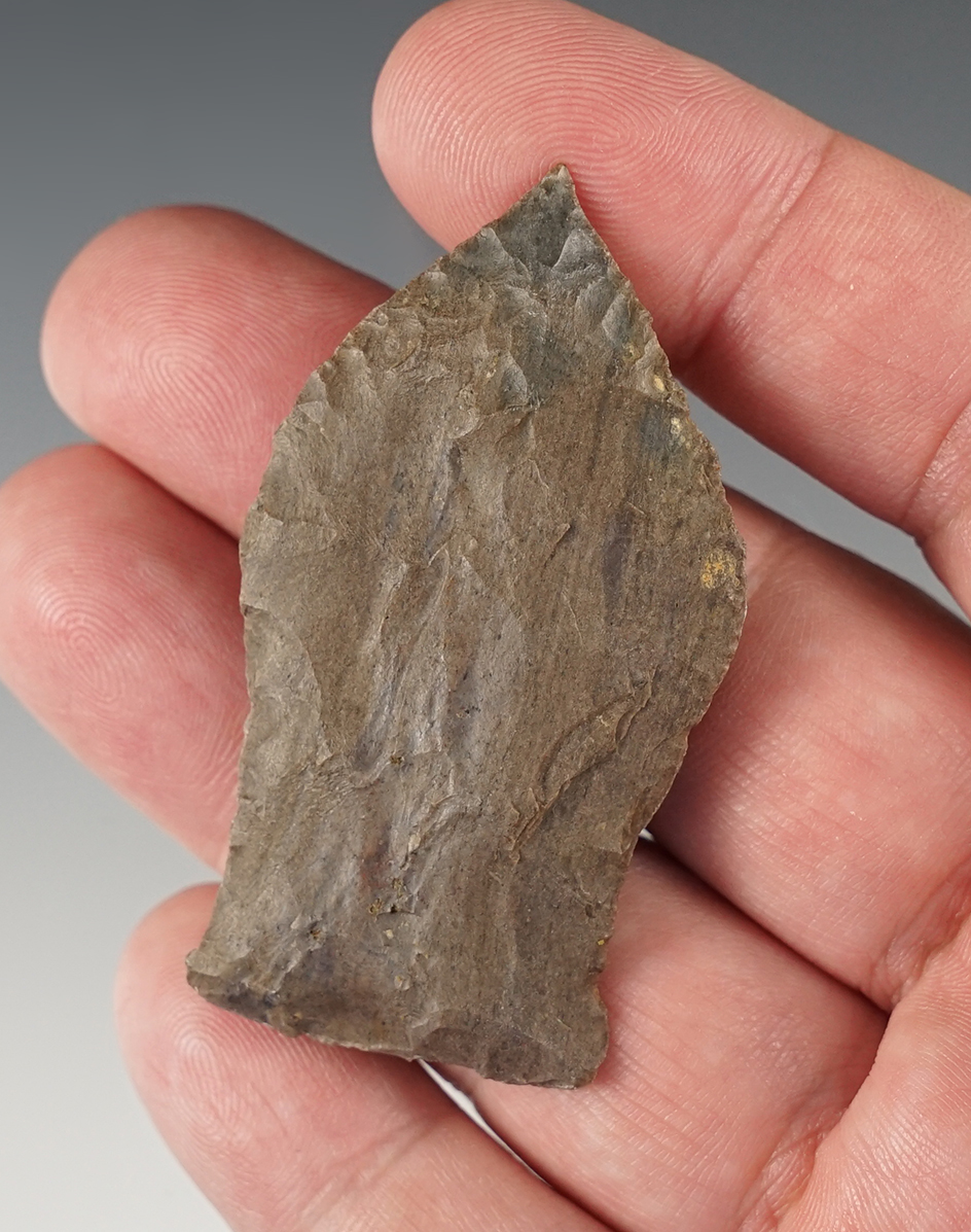 Nice 2 1/4" Copena found in White Co., Tennessee.