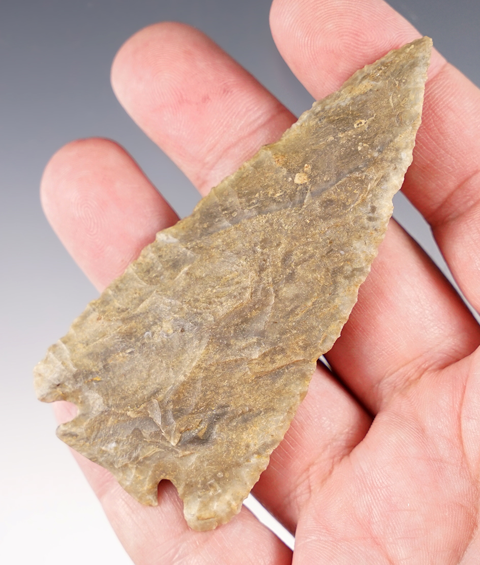 3 3/8" Classic Decatur Fractured Base found in Ingham Co., Michigan.