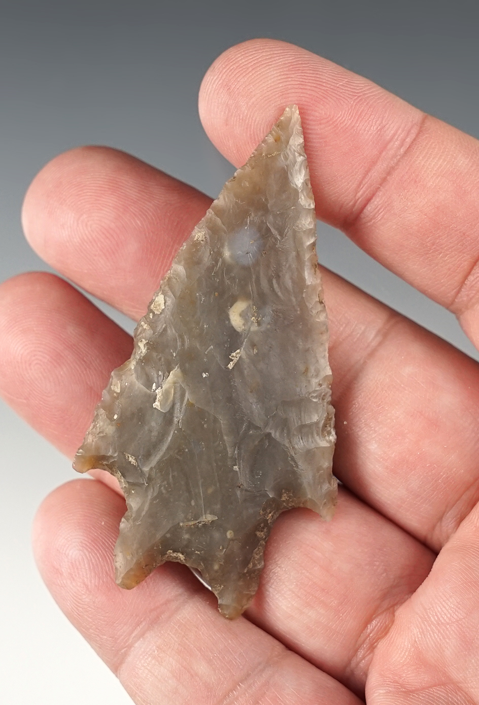 Ex. Museum! Well styled 2 11/16" Texas Pedernales. Ex. Ferrell collection.