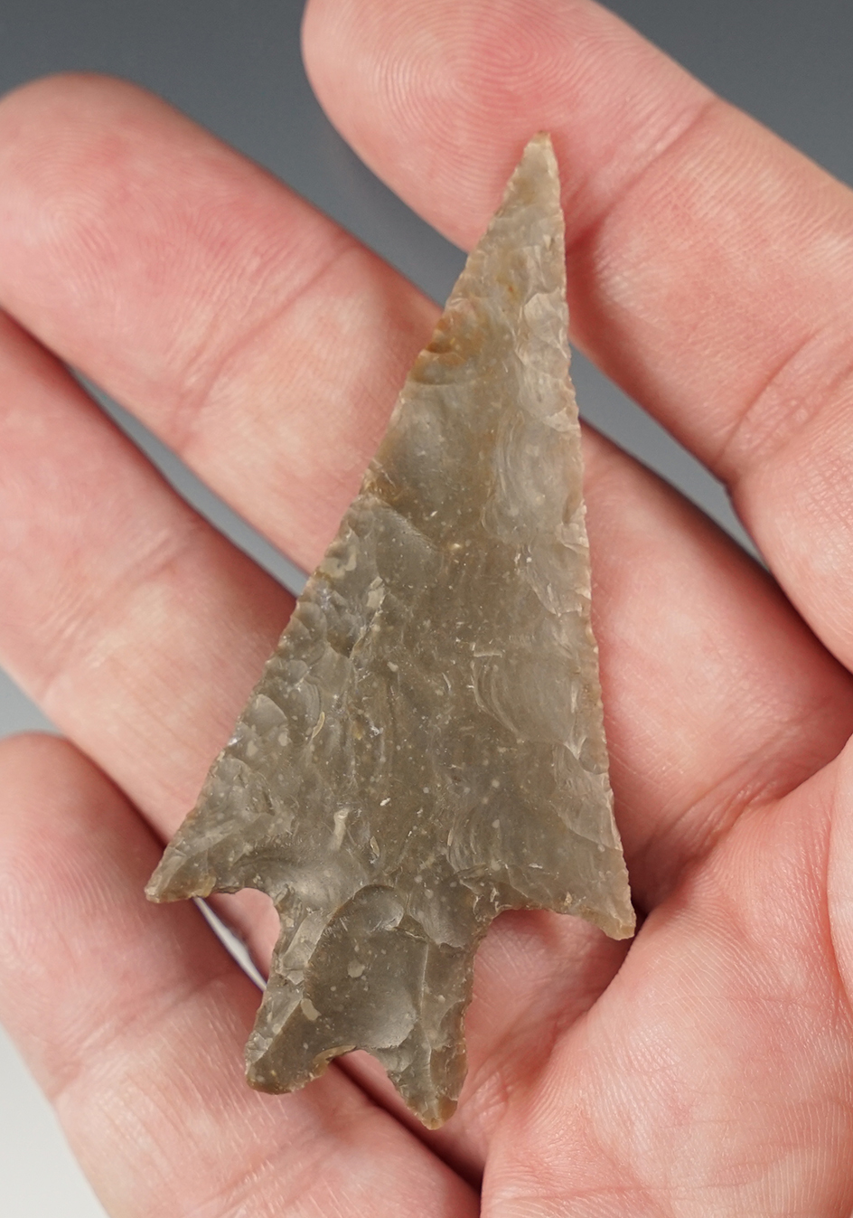 Exceptional 2 3/4" Pedernales found in Gillespie Co., Texas. Comes with a Rogers COA.