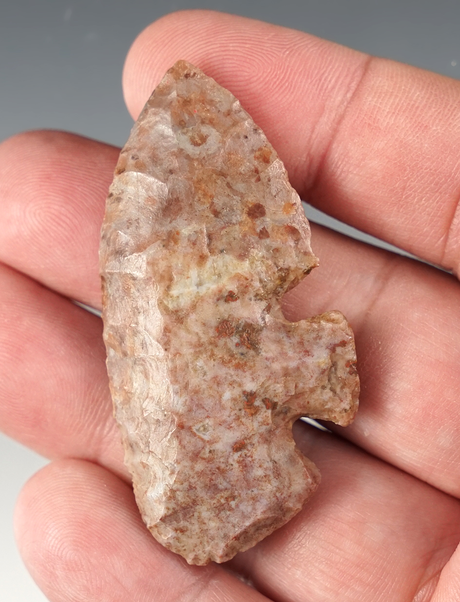 2 5/16" Midback Knife found in West Central Texas. Comes with a Rogers COA.