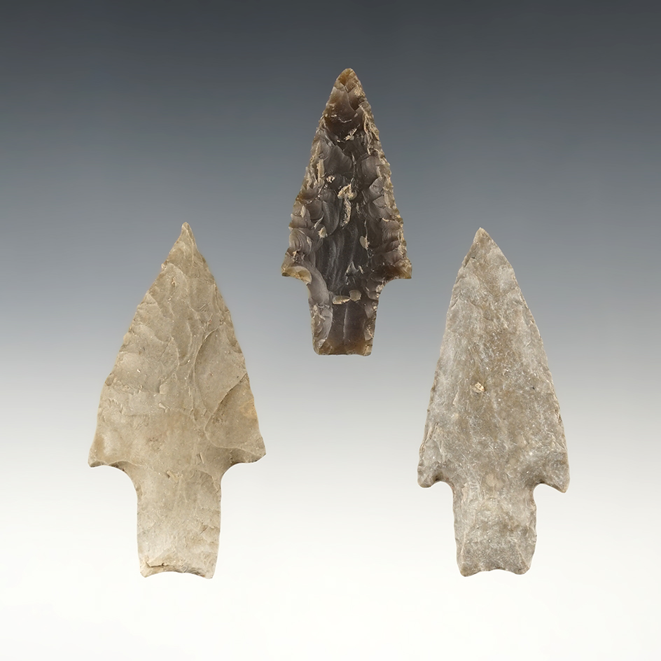 Ex. Museum! Set of 3 finely flaked Texas Evans points. The largest is 2 1/2".