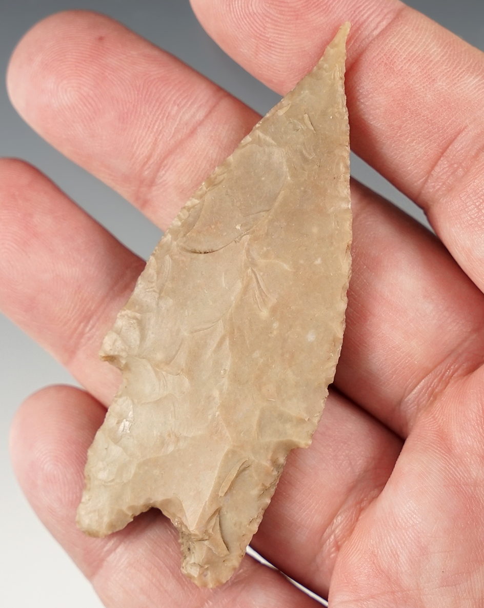 3 1/16" Pedernales found in Central Texas. Comes with a Rogers COA.