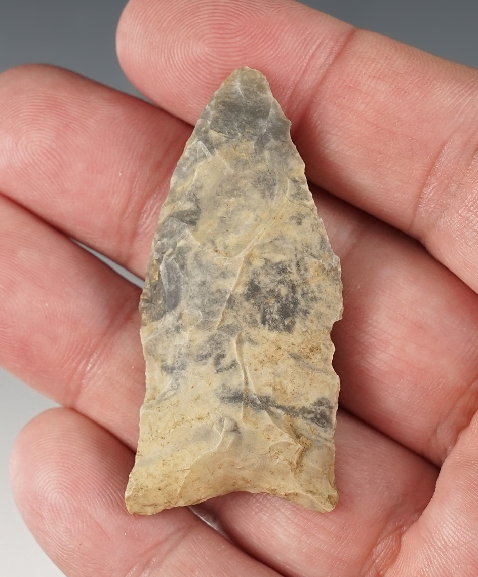 2 1/8" Paleo Transitional point found in Pulaski Co., Kentucky by J.R Dalton. 
