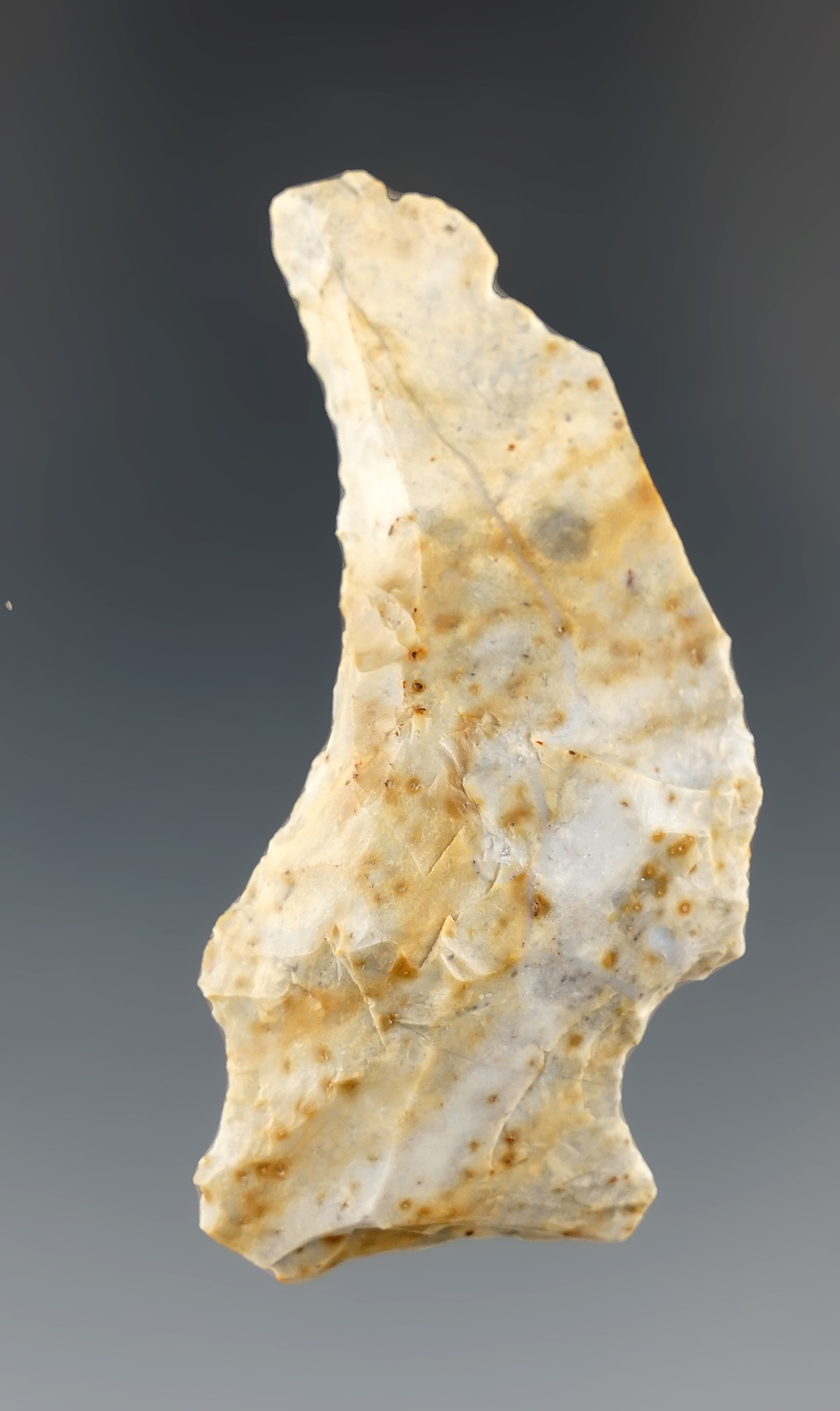 2 3/16" hafted shaft scraper found in Coshocton Co., Ohio made from Flint Ridge Flint. Ex. Champion.