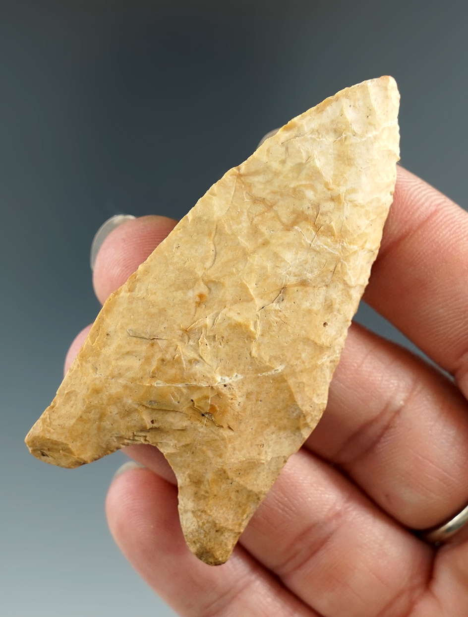 2 9/16" Dalton found in Arkansas. Comes with a Dickey COA.