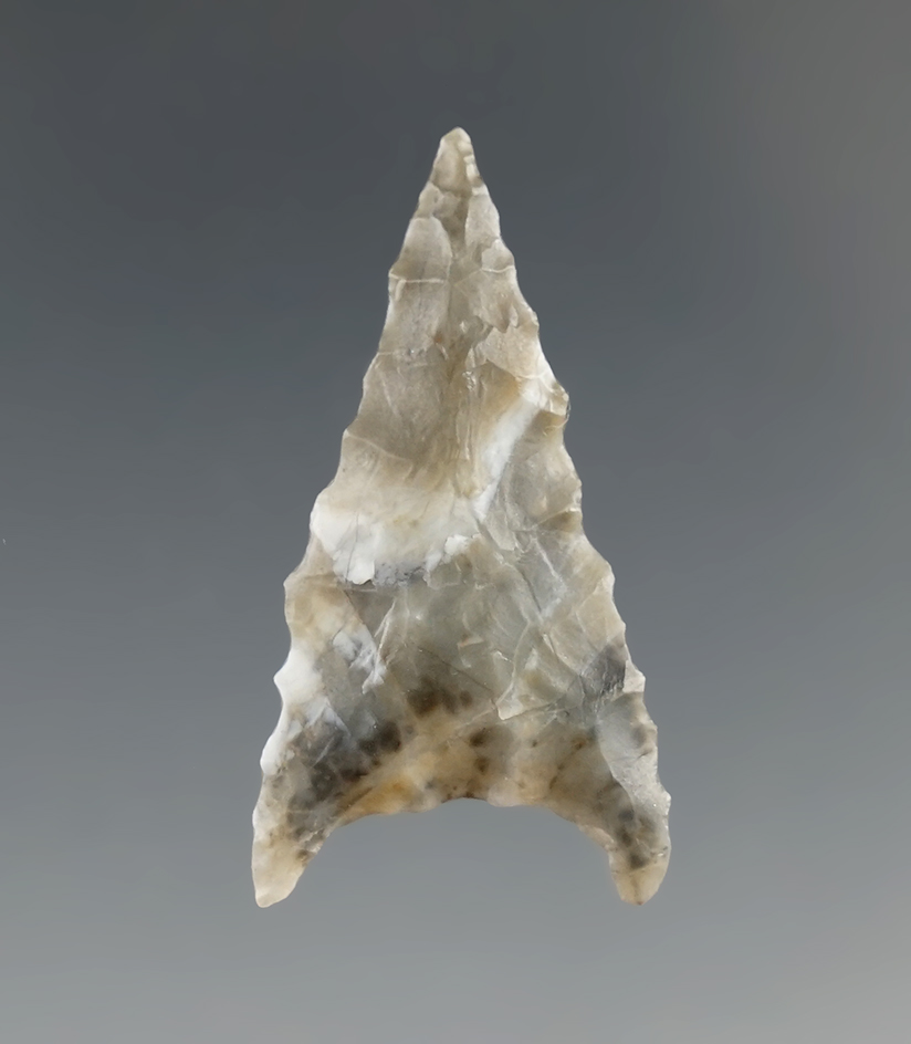1 5/16" Gunther triangular found in Northern California made from beautifully mottled material.