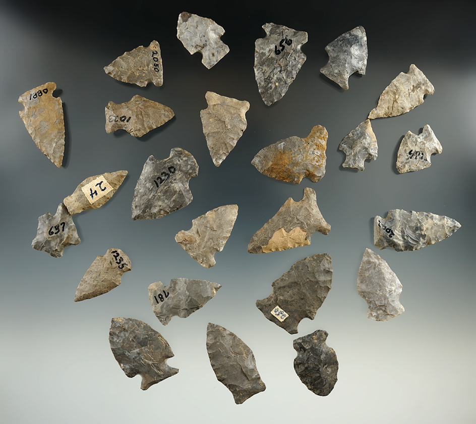 Group 24 assorted New York points, largest is 1 9/16".