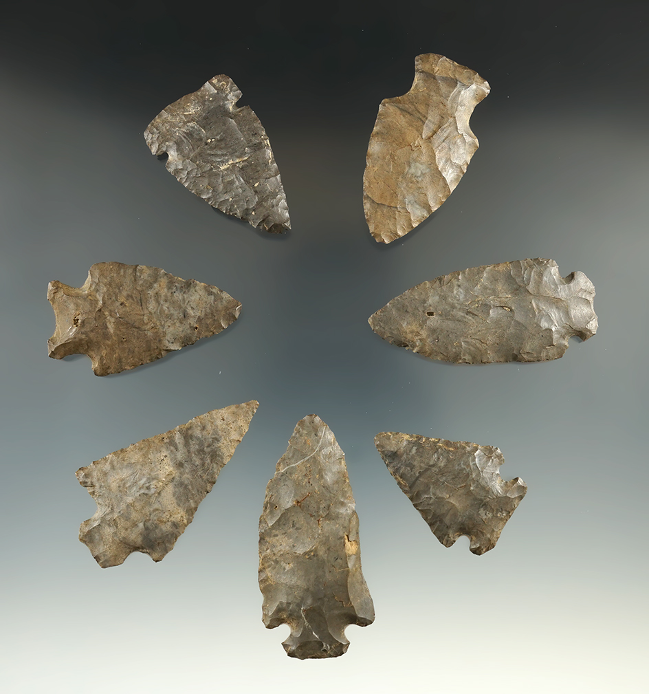 Set of 7 assorted points found in New York, largest is 2 1/4".