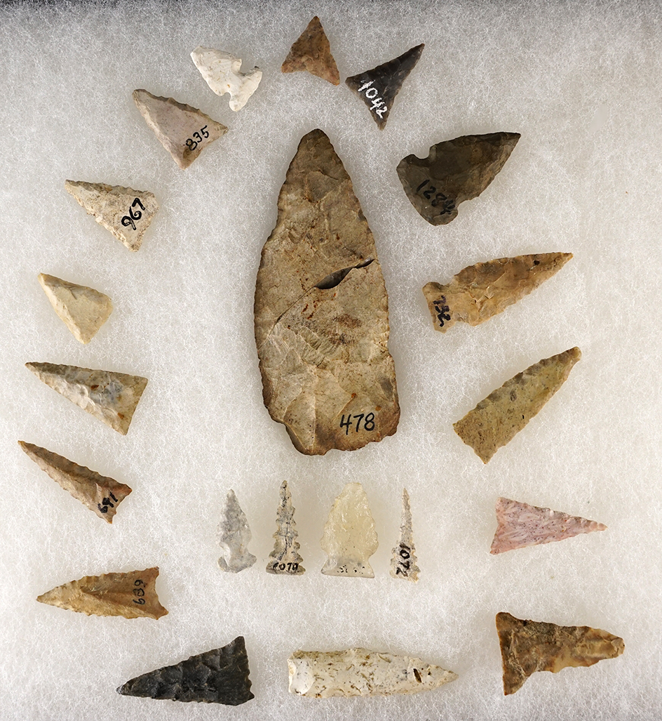 Group of assorted points from Florida collected in the 1940s. Many have original  catalog cards.