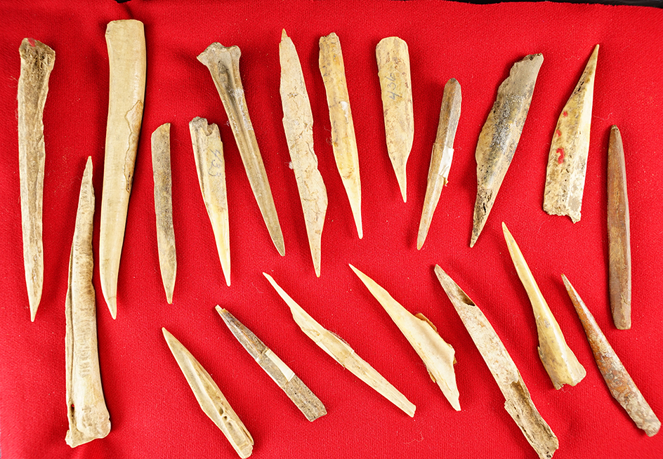 Set of 20 ancient bone tools found at a cave site in Kentucky. The largest is 5".