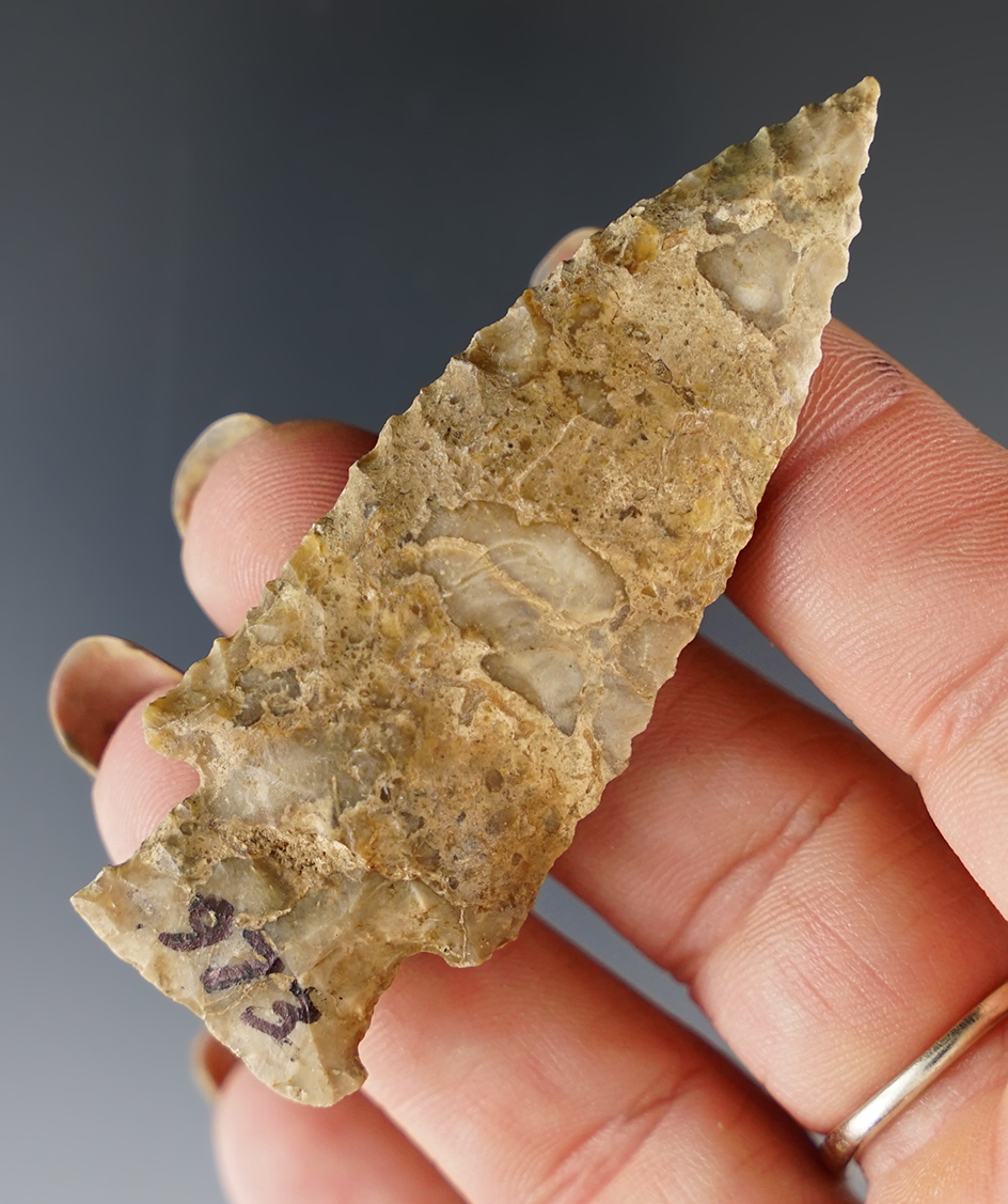 Beautiful material, color, and nice flaking on this 2 5/8" Beveled Knife - Alachua Co., Florida.